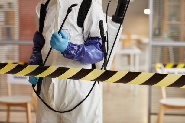 Professional Sewage Cleanup technician working in Hollywood, FL